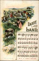 Dixie Land Postcard