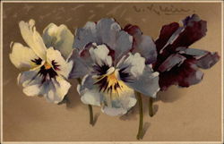 Three pansies C. Klein Postcard Postcard