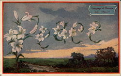 Language of Flowers Lily: "Peace" Postcard