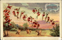 I Dream of Thee Flowers Postcard Postcard