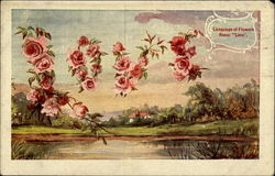 Language of Flowers Postcard Postcard