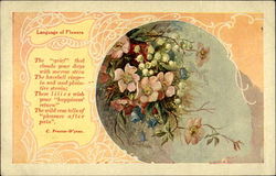 Language of flowers Postcard