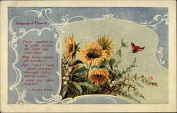 Language of Flowers Postcard Postcard