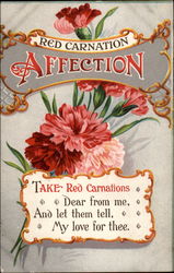 Red Carnation--Affection Postcard