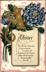 Aster: Variety Postcard