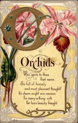 Orchids Postcard