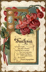 Fuschia (taste) Postcard