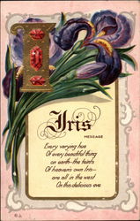 Iris message Postcard