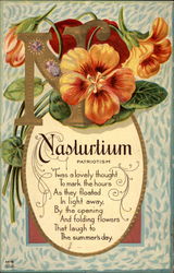 N for Nasturtium (Patriotism) Postcard