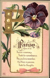 Pansy (think of me) Postcard