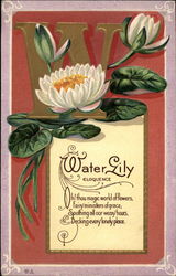 W for Water Lily (Eloquence) Postcard