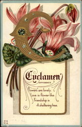 Cyclamen, Diffidence Postcard