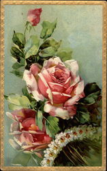 Pink roses in bloom Flowers Postcard Postcard