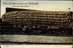 This is the Kind We Grow Near Deckerville. Can You Beat Them? Exaggeration Postcard Postcard