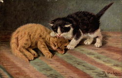 Cats Snuggling/Playing Postcard Postcard