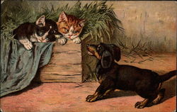 Daschund and Kittens Postcard