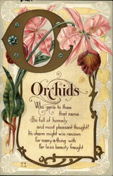 O for Orchids Postcard