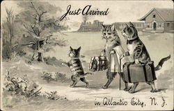 Just Arrived in Altlantic City, N.J Cats Postcard Postcard