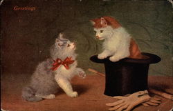 Greetings, Two Playful Cats Postcard