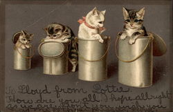 Four Kitties in Four Buckets Cats Postcard Postcard