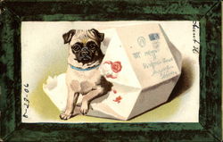 Puppy in Envelope Postcard