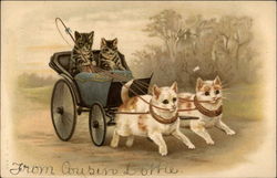 Kittens out for a Ride Cats Postcard Postcard