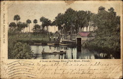 A Scene on Orange River Fort Myers, FL Postcard Postcard