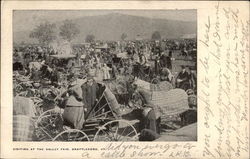 Visiting at the Valley Fair Brattleboro, VT Postcard Postcard