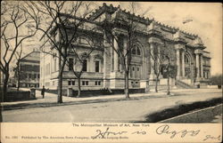 The Metropolitan Museum of Art New York, NY Postcard Postcard