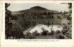 Resevioir and Walnut Mountain Liberty, NY Postcard Postcard