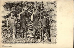 The Hunters, with Deer New York Postcard Postcard