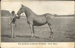 The $25,000 Hairless Wonder, "Blue Bell" Postcard