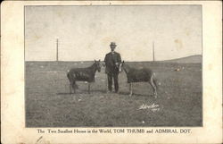 The Two Smallest Horses in the World, Tom Thumb and Admiral Dot Postcard Postcard