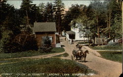 Forest House, Lake Sunapee Postcard