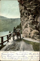 Man in his Buggy Hardanger, Norway Postcard Postcard