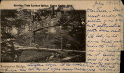 Greetings from Eastman Springs, Benton Harbor, Mich Postcard