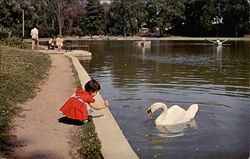 Louise and the Swan Postcard