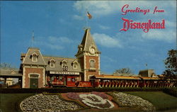 Disneyland Postcard Postcard