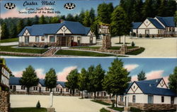 Custer Motel Postcard