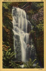 Berry Creek Falls Big Basin, CA Postcard Postcard Postcard