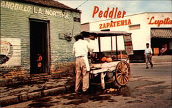 Peddler Mexico Postcard Postcard