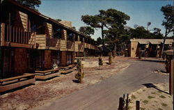 Asilomar Conference Grounds Postcard