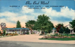 Blue Bird Motel Des Moines, IA Postcard Postcard