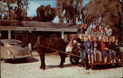 Mule & Wagon Tour of Old Lewis Plantation Brooksville, FL Postcard Postcard