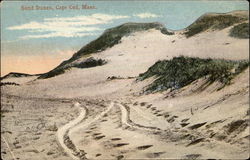 Sand Dunes Cape Cod, MA Postcard Postcard