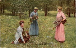 Picking Wild Flowers for Table Decoration, Yellowstone Park Postcard