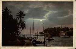 Moonlight on the Miami Florida Postcard Postcard