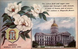 Georgia State Flower and Capitol Postcard