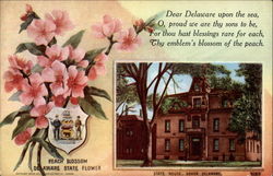 Delaware State Flower and State Capitol Postcard