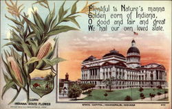 Indiana State Capitol and State Flower Postcard